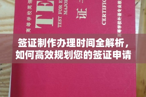 桑珠孜签证制作办理时间全解析，如何高效规划您的签证申请流程